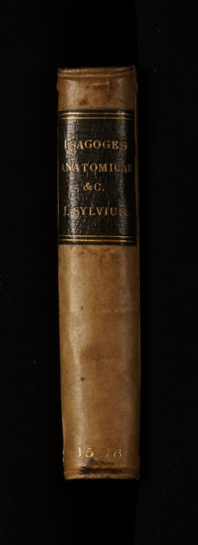 No text description is available for this image