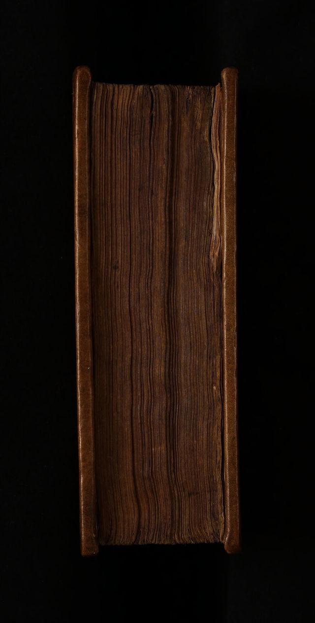 No text description is available for this image