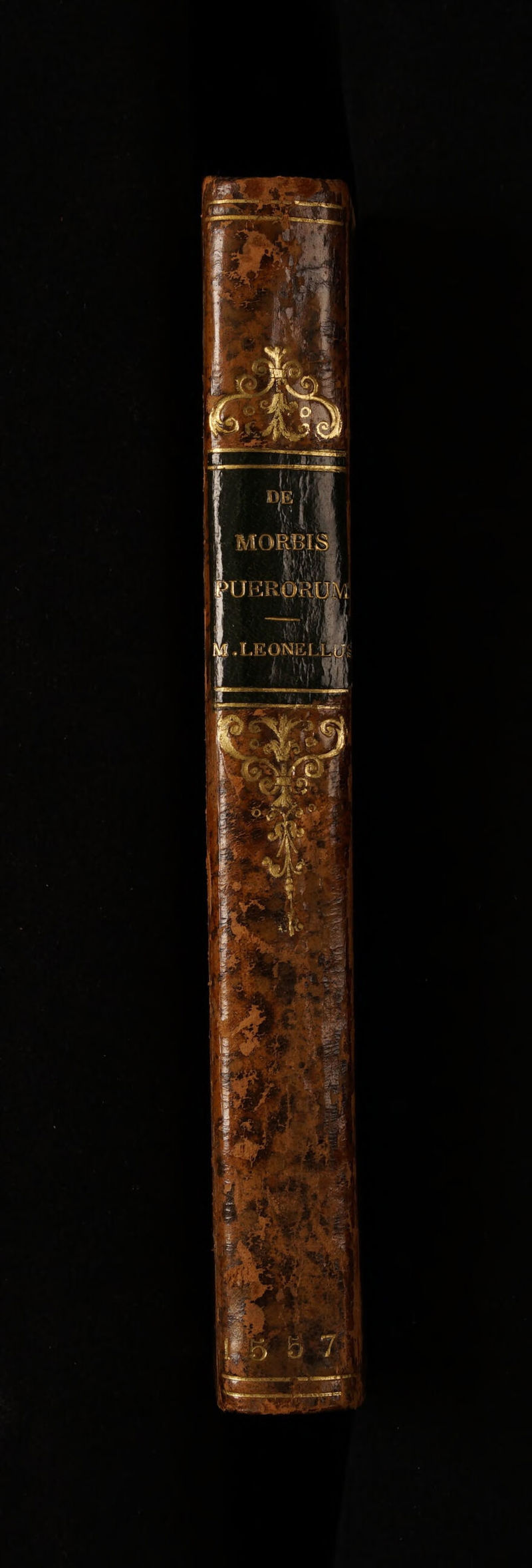 No text description is available for this image