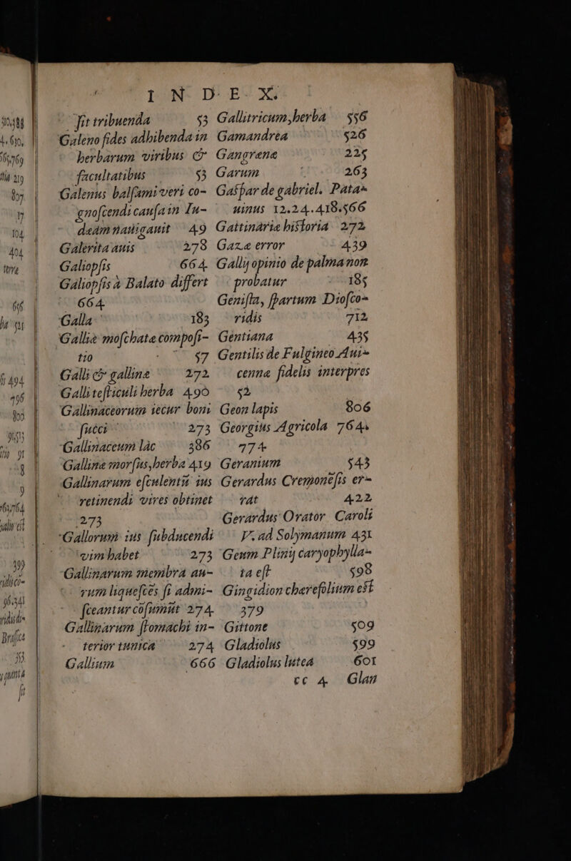 infa 7178 9) Vito y TT Briftet /j T 1 [ ir tribuenda «3 Gallitricum,berba — $56 Gileno fides adhibendaim Gamandrea $26 berbarum viribus c Gangrene 225 facultatibus — $4 Garum 263 Galenus balfami veri co- Gaffar de gabriel. Pata gnofcendi can[ain £n- HIHH$. 12.24.418.566 deamnaiigauit | 49 Gaitinária hisloria. 272. Galerita auis 3479 Gaza error 439 Galiopfis 664. Gallij opinio de palmamon Galiopfis à Balato differt | probatur 18; ^ 664 Genifla, [artum Diofco- Galla: 183 ridis 712 Gallis mofchate compofr-. Gentiana 435 tio 7^ $7 Gentilis de Fulgineo Aui» Galli c galline 272 cenna fidelis interpres Galli te[liculi berba 490 5à Gallimaceoruim iecur boni Geon lapis 806 fucci ^ ^'273 Georgius Agricola 7644 Gallinaceum làc 386 ^ 774 Gallina snor [us erba 419. Geranium $43 Gallinarum e[cnlenti: ius Gerardus Cremonefis er retinendi vires obtinet — - vat 422 2775 Gerardus: Orator. Caroli vim babet 273 Geum Plinij caryophylla- Gallinarum membra au- ^ tae[t $98 -- vum ligque[ces fi admi- Gingidion cherefülium est fieantur commit 274—379 Galliarum [lomachi in- | Gittone $09 terior tunica ^ 274 Gladiolus $99 Gallium 666 Gladiolus lutea 601