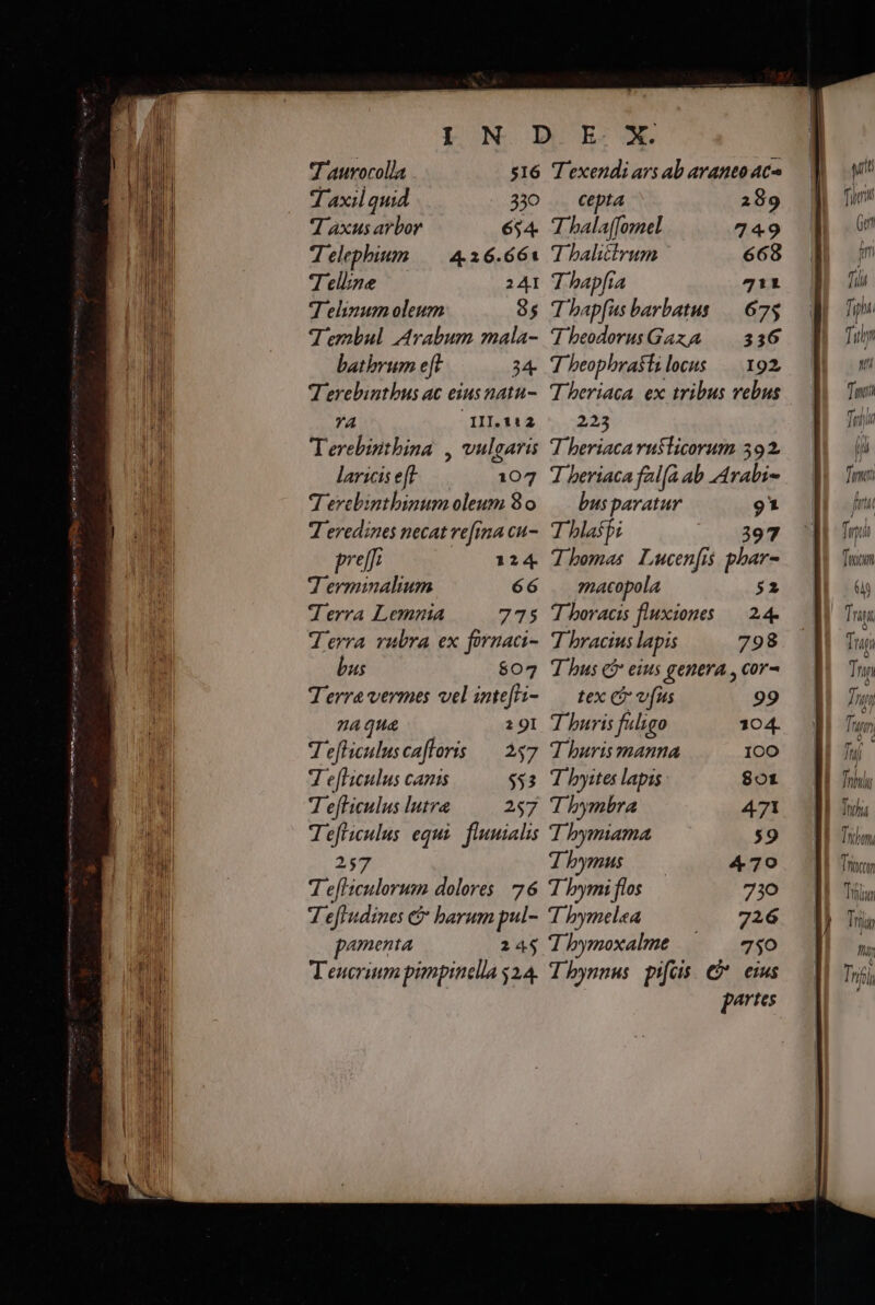 J aurocolla Taxil quid 7] xus arbor 4 elephium |—| 436.661 T eline 241 T elinumm oleum 85 Tembul Arabum mala- batbrum e[t 34- Terebinthus ac eius natu- YA qgII.:2 Terebintbina , vulgaris lariiseft — 107 T ercbinthinum oleum 80 7 eredines necat ve[ina cu- pre[fz 124. 7 erminalium 66 Terra Lemnia 775 $16 3o 654 bus $07 Terra vermes vel inte[Hi- aqua 2 9I 4 eficulus ca floris 257 7 e[liculus canis $53 7 efliculus lutra 257 T exendi ars ab araneo ac^ cepta 289 7 bala(fomel 749 7 balitrum 668 T hapfía 711 T bap[us barbatus —. 675 7 beodorusGaza | 336 T beophrastilocus —. 192, T heriaca ex tribus vebus 235 7 beriaca rusticorum 392. 7 beriaca fala ab Arabi- bus paratur 91 T blaspi 397 Themas Lucen[is phar- acopola 52 T boracis fiuxiones — 249 7 bracius lapis 798 J bus cj eius genera , cor- tex C vfus 99 T buris fuligo 104. T huris manna IOO T byites lapis 80t T bymbra 471 257 7 efl'iculorum dolores 76 Teftudines e barum pul- p^menta 24$ Teucrium pimpinella $24. T bymus 7 bymi flos T bymelea 726 7 bymoxalme 750 4 bynnus pifcis. €? emus ports 470 730 ] onu hos Tr ffl