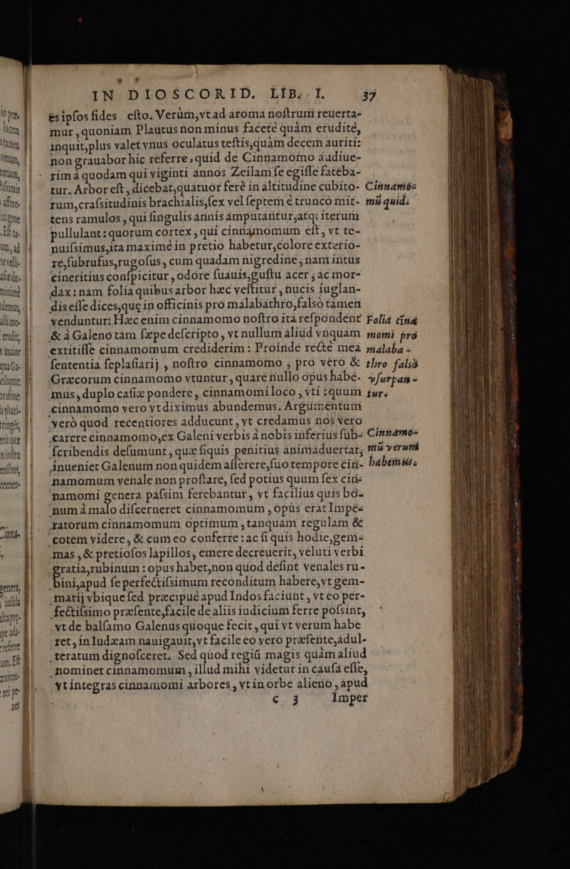 | lücem tue | Oftm, T m, limi alere. ipee || Hit Uu. una tevelli die du. mime Vimus, illi. edit f maior f quaGa- B eligit P ordine yr E Ting rique | v intra «nlt, feret (775 H L net, d ift p lupe: E enit- B Lid | y E IN DIOSCORID. LIB..I, 33 mur ,quoniam Plaütus non minus faceté quàm erudite, inquit,plus valet vius oculatus teftis;.quàam decem auriti: non grauabor hic referre; quid de Cinpnamoómo audiue- rim à quodam qui viginti annos Zeilam fe egifle fateba- tens ramulos , qui fingulis ànnis àámputariturjatq; iterum pullulant: quorum cortex qui cinngmmomur eft, vt te- puifsimusyita maximé in pretio habetur;colore exterio- re,fubrufus,rugofus , cum quadam nigredine ; nam intus cineritius confpicitur , odore fuauis,guftu acer ; ac mor- dàx:nàm folia quibusarbor hac veftitur , hucis iuglan- dis effe dices,que in officinis pro malabathro,falsó tamen €Cinnàmomo vero ytdiximus abundemus: Argumentuii veró quod recentiores adducunt, yt credamus nos vero namomum venale non proftare, fed potius quum fex ciue namomi genera pafsim ferebantur, vt facilius quis bo- 'numà malo difcerneret cinnamomum , opüs erat Impe Xatorum cinnamomum optimum ,tanquam regulam &amp; 'cotem videre; &amp; cum eo conferre :ac fi quis hodie,gem- mas , &amp; ptetiofos lapillos; emere decreuerit; veluti verbi ratia,rubinum : opus habet;non quod defint venalesru- | ASRPRR fe perfe&amp;tifsimum reconditum habere,vt gem- -Snatij vbiquefed precipue apud Indos faciunt , vt eo per- fe&amp;tilsimo przfente;facile de aliis iudicium ferre pófsint, vt de balfamo Galenus quoque fecit ,qui vt verum habe ret , inludzam nauigauit,vt facile eo yero prafente,adul- .teratum dignofceret. Sed quod regii magis quàmaliud nominet cinnamomum , illud mihi videtur in caufa efle; yt integras cinnamomi arbores , vtin orbe alieno , apud c. 3 Imper