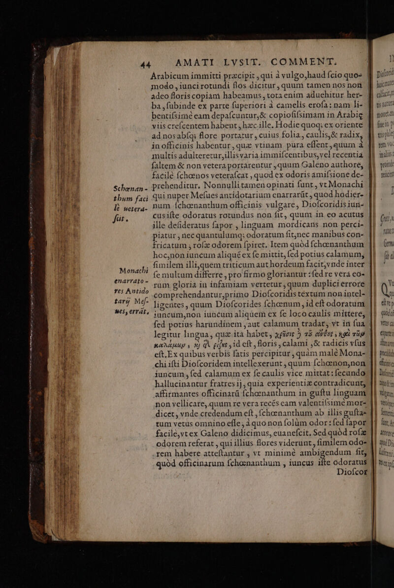 ——— E EE mti NS en INT ex EN S RAD eai is Schenan - tbhbum faci * le wetera- fit. Monatbi enarrato - res Autido targ Mef- ses, errat, Arabicum immitti przcipit ;qui à vulgo,haud fcio quos modo , iunci rotundi flos dicitur , quuni tamen nos non adeo floris copiani habeamus , tota enim aduehitur her- ba ,fübinde ex parte fuperiori à camelis erofa: nam li- | bentifsimé eam depafcuntur,&amp; copiofifsimam in Arabie viis crefcentem habent , hzc.ille. Hodie quoq; ex oriente | in officinis habentur, qua vtinam pura effent, quum à faltem &amp; non vetera portarentur ,quum Galeno authore; | facilé fchoenos veterafcat , quod ex odoris amifsione de- prehenditur. Nonnullitamen opinati funt, vt Monachi qui nupet Mefues antidotarium enarrarüt , quod hodier- num Íchoenanthum officinis vulgare, Diofcoridis iun- cüsifte odoratus rotundus non fit, quum in eo acutus | ille defideratus fapor , linguam mordicans non perci- - piatur , nec quantulumq; odoratum fitnec manibus con- | fricatum ; rofz odorem fpiret. Item quód fchoenanthum hoc,non iuncum aliqué ex fe mittit, fed potius calamum, fimilem illi, quem triticum aut hordeum facitjvnde inter | fe multum differre , pro firmo gloriantur :fed re vera eo- rum gloria in infamiam vertetur quum duplici errore comprehendantur,primo Diofcoridis textum nonintel- | ligentes, quum Diofcorides fcheenum, id eft odoratum iuncum,non iuncum aliquem ex fe loco caulis mittere, fed potius harundinem aut calamum tradat, vt in fua legitur lingua, qua ita habet , xpieie ) 5 av0s$ , nt vg XaMuuuy s 3) qi pine 41d eft floris , calami ,&amp; radicis vfus eft.Ex quibus verbis fatis percipitur , quàm malé Mona- chi ifti Diofcoridem intellexerunt , quum Íchoenon,non iuncum fed calamum ex fe caulis vice mittat: fecundo hallucinantur fratresi),quia experientiz contradicunt, affirmantes officinarü meds die in guftu linguam non vellicare, quum re vera reces eam valentifsimé mor- dicet, vnde credendum eft , fchoenanthum ab illis gufta- tum vetus omnino effe; àquo non folüm odor : fed fapor facilé,vtex Galeno didicimus, euanefcit. Sed quód rofa odorem referat , qui illius flores viderunt, fimilem odo- | .rem habere atteftantur , vt minimé ambigendum fit; quód officinarum fchosnanthum , iuncus ifte odoratus TE Dioíco£ | | calci tis 30r mouet m tris B remo: datis prin reiicin qud Wt €Iprte; Mina Drocitdob Qcinsc ] toit | ntm Wie E E finr Arie | quiDi lta Wepf