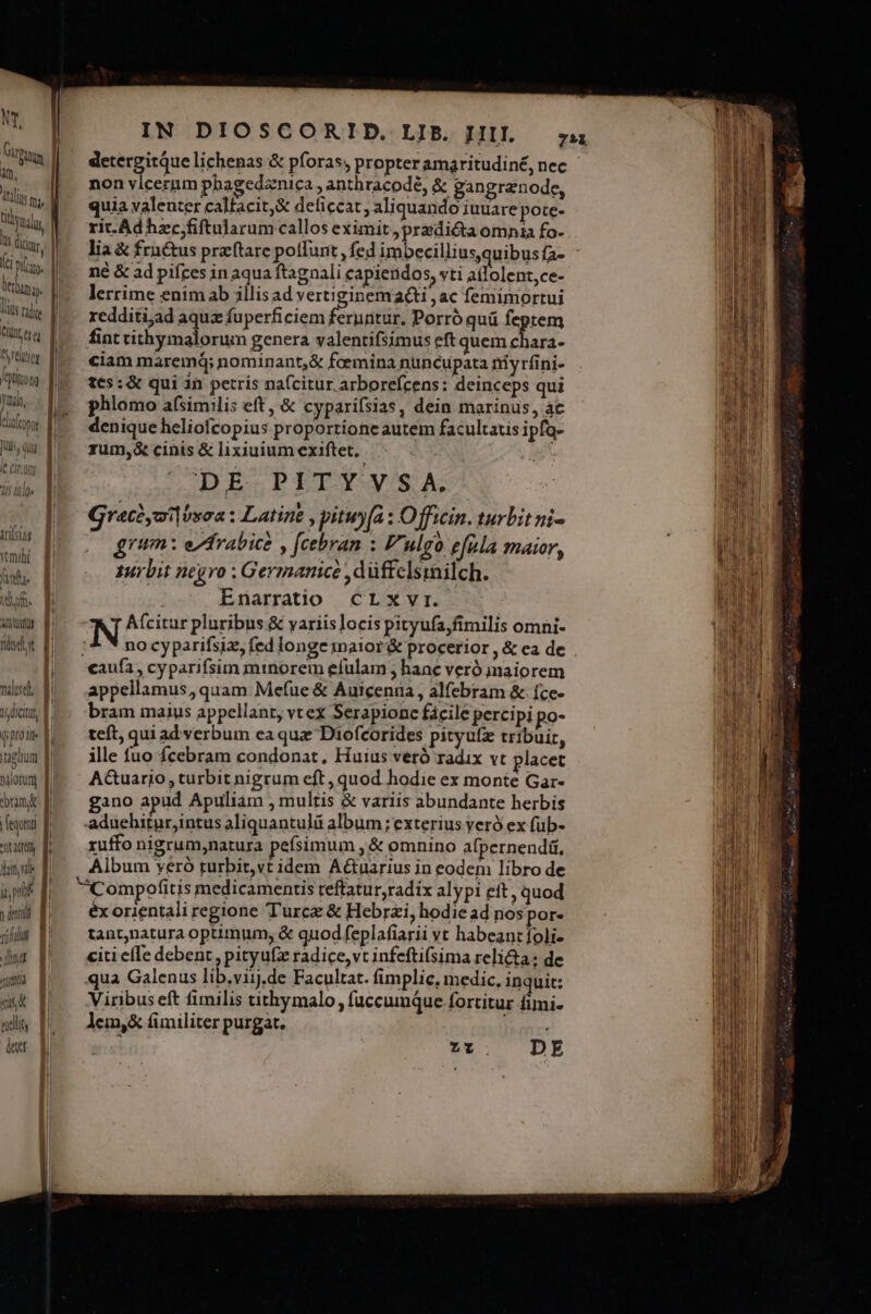 tits [| PS titer l Qutoag - fee ynào,.. hi lali [ P VU C009t- M1 ju, qui | tcr M 4 FT iilstag vmi hh. E n. f anum d tiv Fr j WO naue. | 15diciut, D qproi- aglium I iorum, T ram | fesutur | rage, d hm f i pte y dtl | gn alit | lett ium lichenas &amp; pforas; propter amaritudin£, nec non vlcernm phagedznica , anthracodé, &amp; gangranode, quia valenter calfacit,&amp; deficcat, aliquando iuuare pote- rit. Adhzc;fiftularum-callos eximit, pradiéta omnia fo- né &amp; ad pifces in aqua ftagnali capiendos, vti a(lolent,ce- lerrime enimab illisad vertiginemacti ,ac femimortui redditi;ad aquz fuperficiem feruntur. Porró quá feptem fint tithymalorum genera valentifsimus eft quem E y ciam maremá; nominant,&amp; foemina nuncupata tiyrfini- tes: &amp; qui an petris na(citur arborefcens: deinceps qui phlomo a(similis eft , &amp; cyparifsias , dein marinus, ac denique heliofcopius proportione autem facultatis ipfo- zum,&amp; cinis &amp; lixiuium exiftet. DE PITY VS A. Graci, bxoa: Latine , pituy(a : O fficin. turbit ni- grum: ezfrabice y fcebran : F'ulgo efula maior, 1urbit negro ; Germanice ,düffclsmilch. | Enarratio CLXxvr. Afcitur pluribus &amp; yariis locis pityufa,fimilis omni- appellamus, quam. Mefue &amp; Auicenna, alfebram &amp;. íce- bram maius appellant, vt ex Serapionc fácile percipi po- teft, qui ad verbum ea quz Diofcorides pityufz tribuit, ille fuo fcebram condonat, Huius veró radix vt placet A&amp;wuario, turbit nigrum eft , quod hodie ex monte Gar- gano apud Apuliam multis &amp; variis abundante herbis aduehitur,intus aliquantulü album; exterius veró ex fub- ruffo nigrum,natura pefsimum , &amp; omnino afpernendá, Album veró rurbit,vt idem A&amp;uarius in eodem libro de éx orientali regione Turc &amp; Hebrzi, hodie ad nos por- tant,natura optimum, &amp; quod feplafiarii vt habeant foli- citi efIe debent, pityufz radice,vt infeftifsima relicta: de qua Galenus lib.viij.de Facultat. fimplic, medic, inquit: Viribus eft fimilis tithymalo , fuccumque fortitur fimi- lem,&amp; fimiliter purgat. Baie : z1. DE