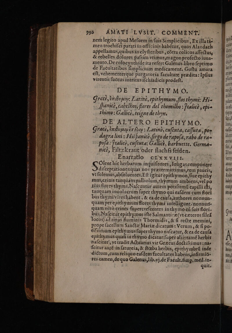 559 ÁMATI LYSIT.'. COMMENT! men trochifci parati in officinis habetur, quos Alandach &amp; rebelles dólores pafsim vtimur,magno profe&amp;o iuua- mento.De colocynthide ita refért Galenus libro feptimo de Faéultatibus fimplicium medicament, Guftu amara eft; vehementerque purgatoria facultate przdita: Ipfius virentis füécus intritus iíchiadicis prodeft, DE'EPIST HY M Grece, Eolbvusy: Latine, epithymum flos tbymi: Hi^ Jfanice, cabelbos, flores del thomilbo : ftalice , epis tbigmo : Gallice, teigne de tbys, | | DE ALTERO EPITHYMO. N15 c) de! Grace, irlvuouEr foep : Latini, cufcuta, caffuta , pos dagra lini ; Hiffanice. ergo de rapo(a,vabo de ra» -pofa : Ptalice, cufeuta: Gallice, barbuette. Germa- zice, Filtzkraut oder flachfs feiden. Enarratio crxxviritr. S Olent hic herbarum inquifitores , longas.comporiere XJ difceptationes:quas nos pratermittimus,rem paucis; vtfolemus;abfoluentés.Eft igitur epithymon,fiueepithy mus,crinis tanquam palliolum,thy mum uo auo rius flores tiymi. Nafcuntur autem potifsimü capilli ifti, tanquam inuolucrum fuper thymo qui eafdem cum flori bus thymivireshabent , &amp; ea de cáufa;authores nonnun- quam per epithymum flores thyini intelligunt; nonnur- quam vero crines fupercreícentes in thymo cá fuis florí- bus.Naftitur epithymus ifte Salmanticz(vtczteros files locos) ad ripas fluminis 'Thormidis; &amp; (i re&amp;e memini, prope faceltam San&amp;tz Mariz dicatum: Verum , &amp; fi po- ti simum epitliymus füperthymo nafcatur, &amp; ca de caufa epithymus quafi ii thymo dicatur:fuperaliistamé herbis di&amp;um cum reliquoeafdem facultates habens,infirmió- rcs tamen; de quo Galenus,lib.v.de Facult.fimp. med.in- . quits :| git B uu B cien M dig QusiO B ^ | juam qutm tf pulit thym fcit, liáo, libr ] mora fis, PAGS fcens anno | diete Ey lube | cup tap