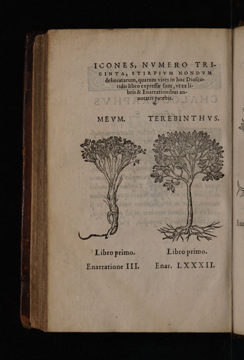 t X NS ANC IT Enar. LXX X II. uarum vires in hoc Diofco- fIz funt, vt ex li- - ridis libro expre bris &amp; Enarrationibus an- notatis patebit. * GINTA, STIRPIVM NONDVM deliniatarum,q Enarratione III. Ei E E E d 2: MER EE UT — RÀ E CAR ES » saute an eel. Lar a jua etn