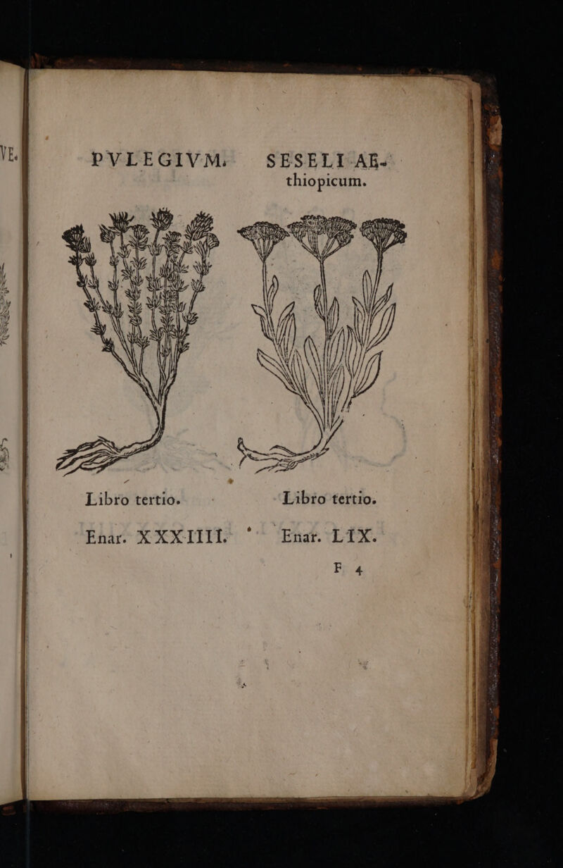 ^j y Tij. : AMVaptzus QUPD Y M '* CEnar. LTX. PVLEGIVM. Enar. X XXIII.