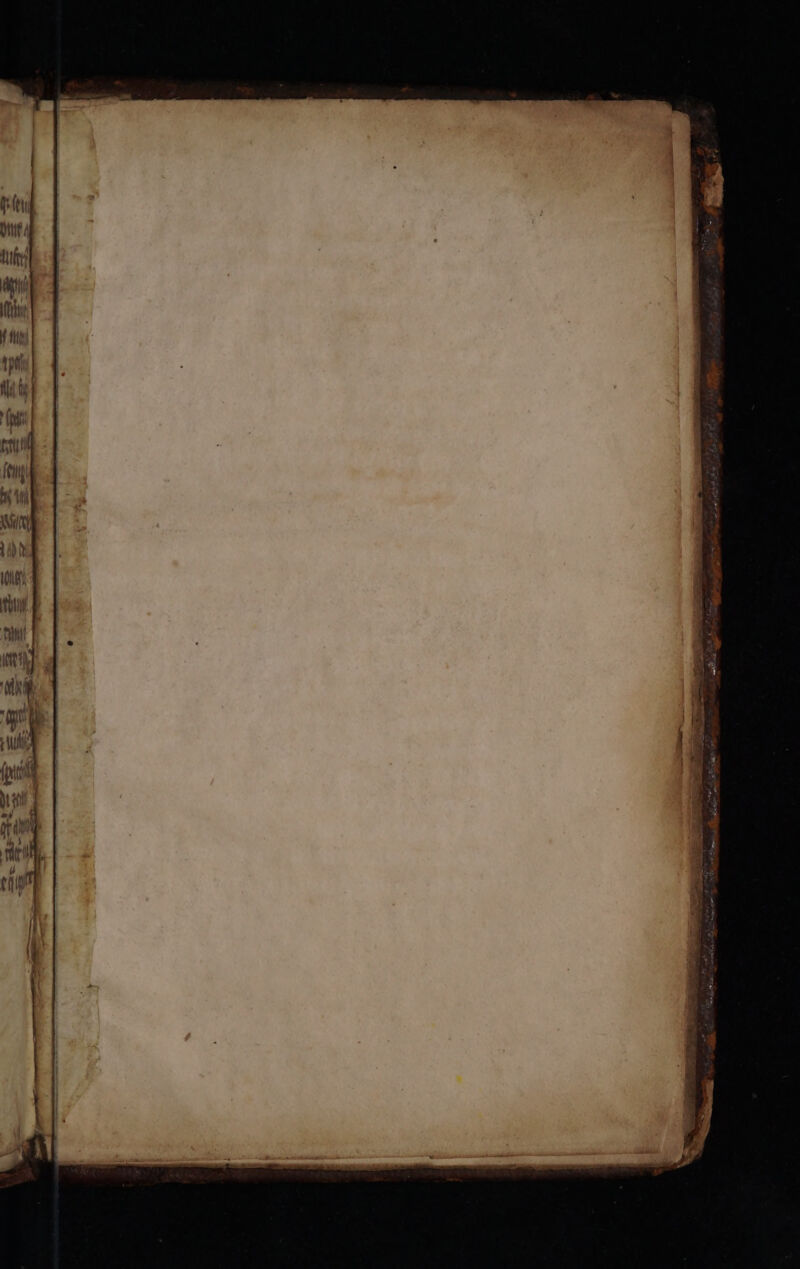 AIT ptt / fult Lu MO f fibi tt hi ! fpi mul feti dl TIN Th tg) t PNE