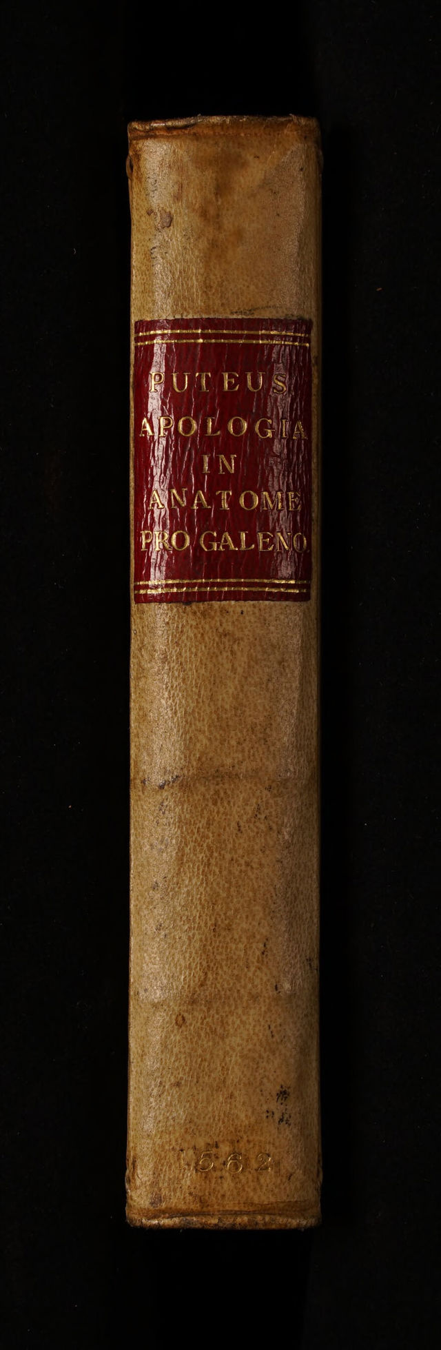 No text description is available for this image