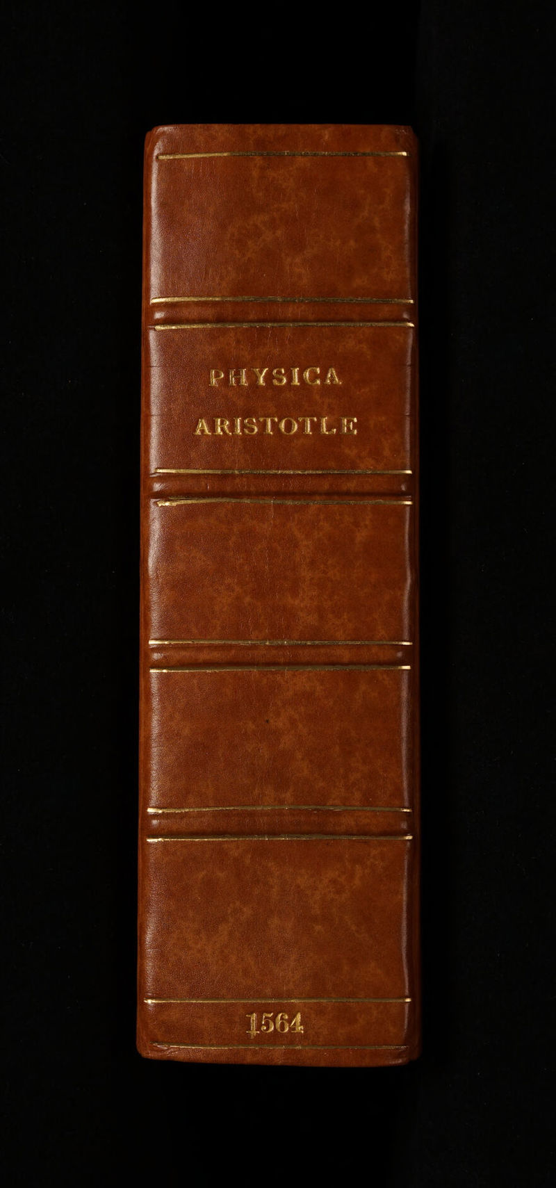 No text description is available for this image