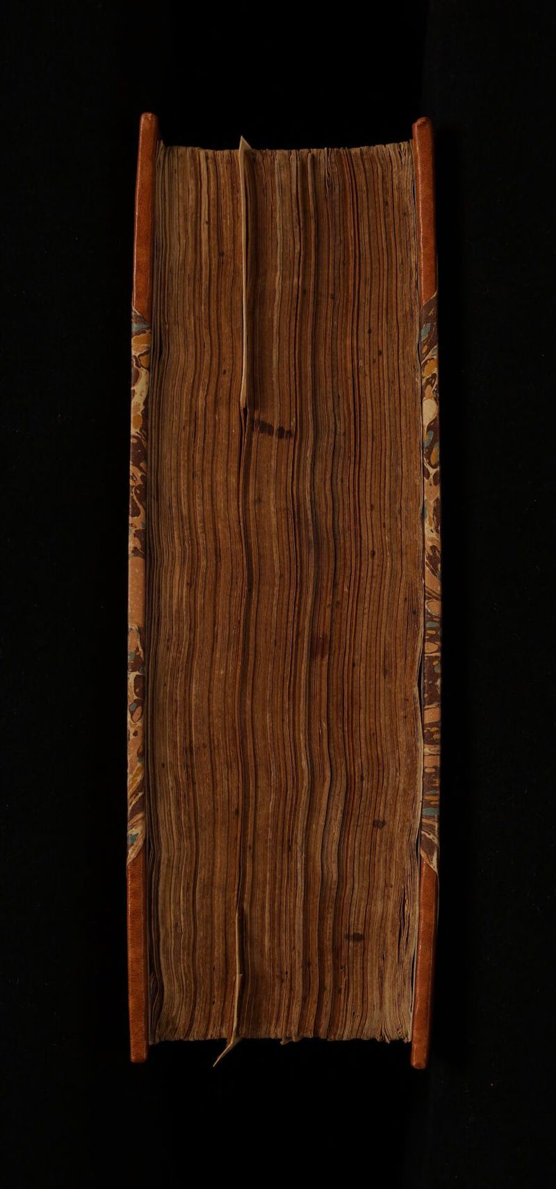 No text description is available for this image