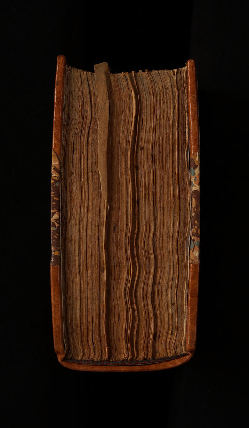 No text description is available for this image