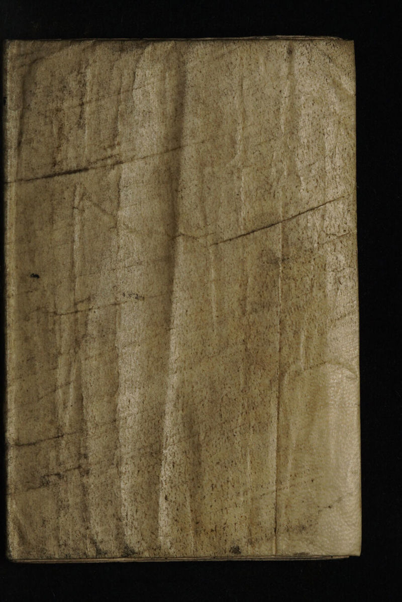 No text description is available for this image