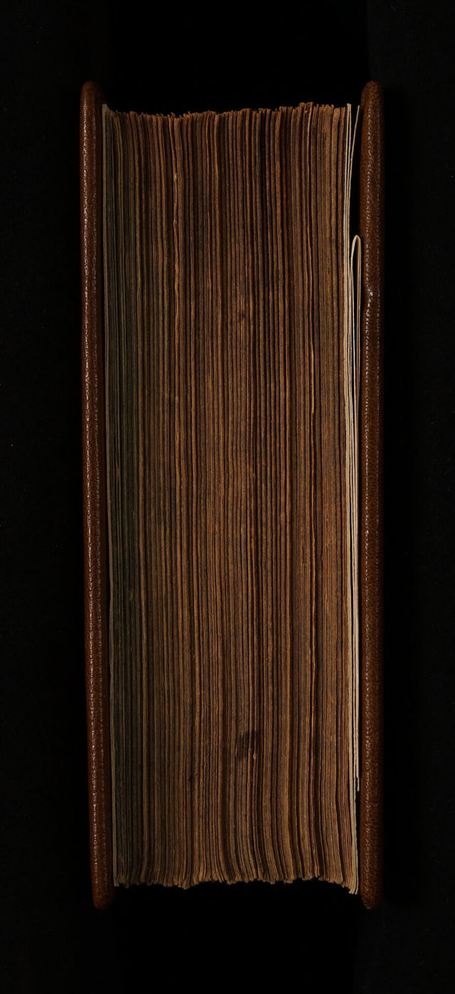 No text description is available for this image