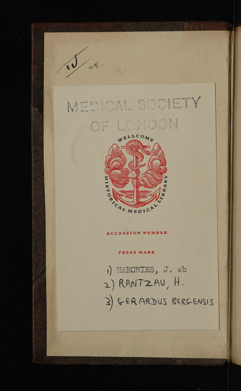 No text description is available for this image