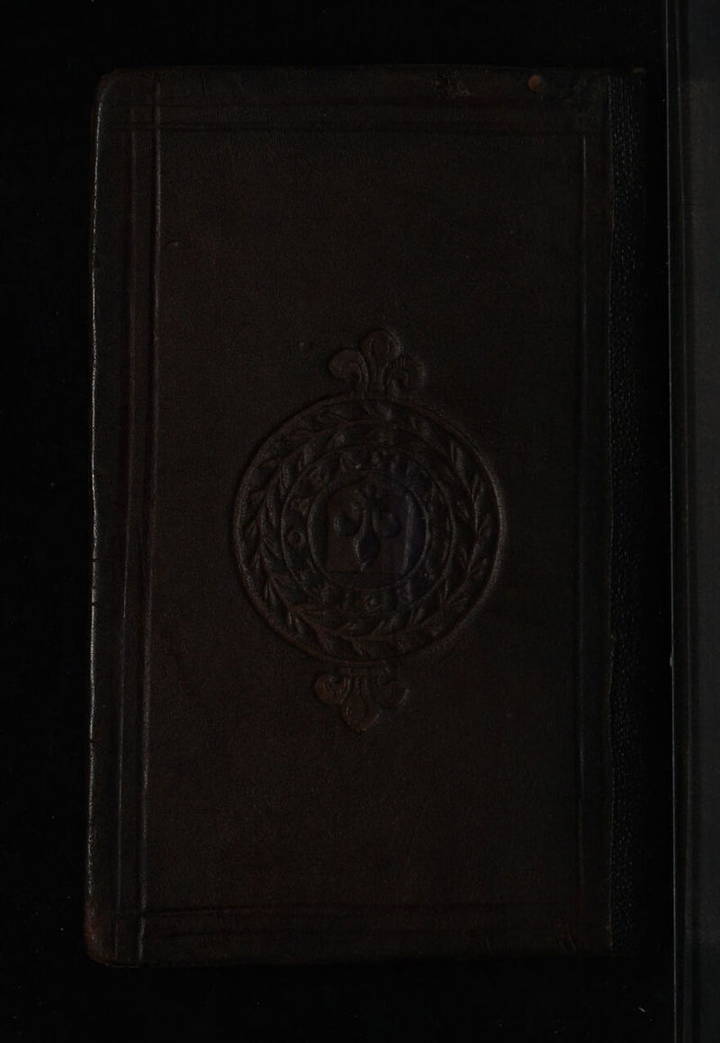 No text description is available for this image