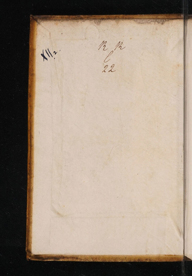 No text description is available for this image