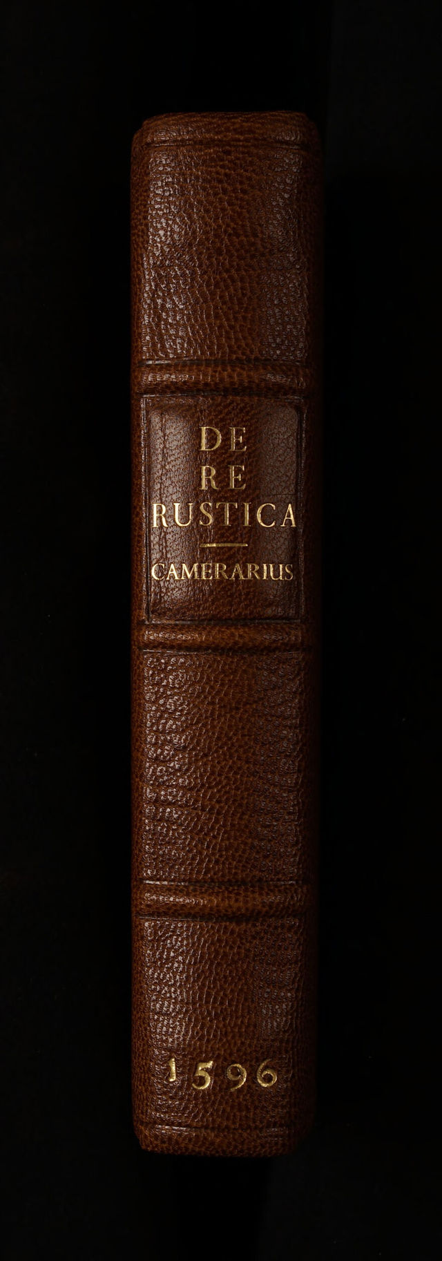 No text description is available for this image