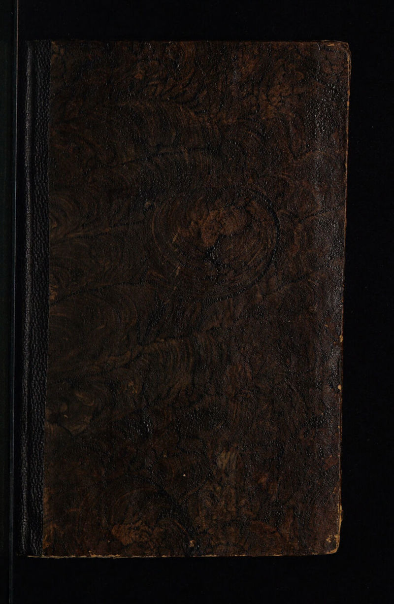 No text description is available for this image