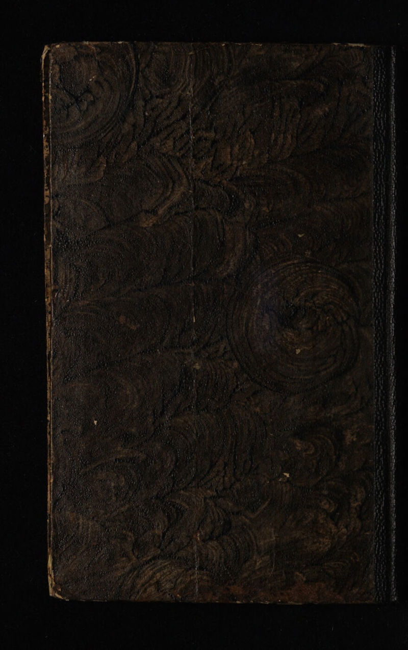 No text description is available for this image