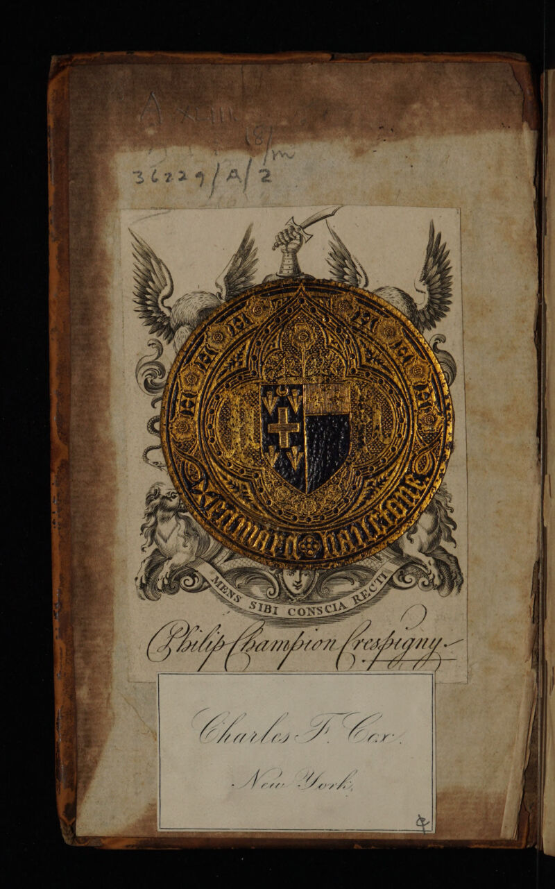 No text description is available for this image