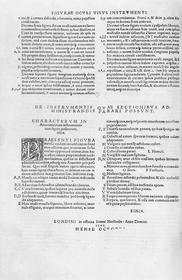 digitised image 1