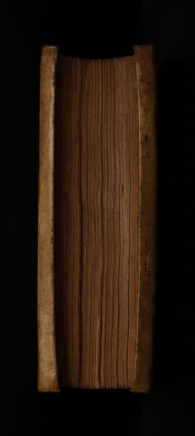 digitised image 3