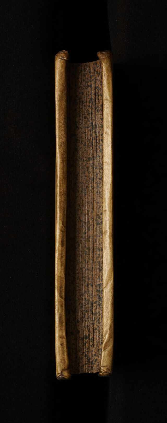 No text description is available for this image