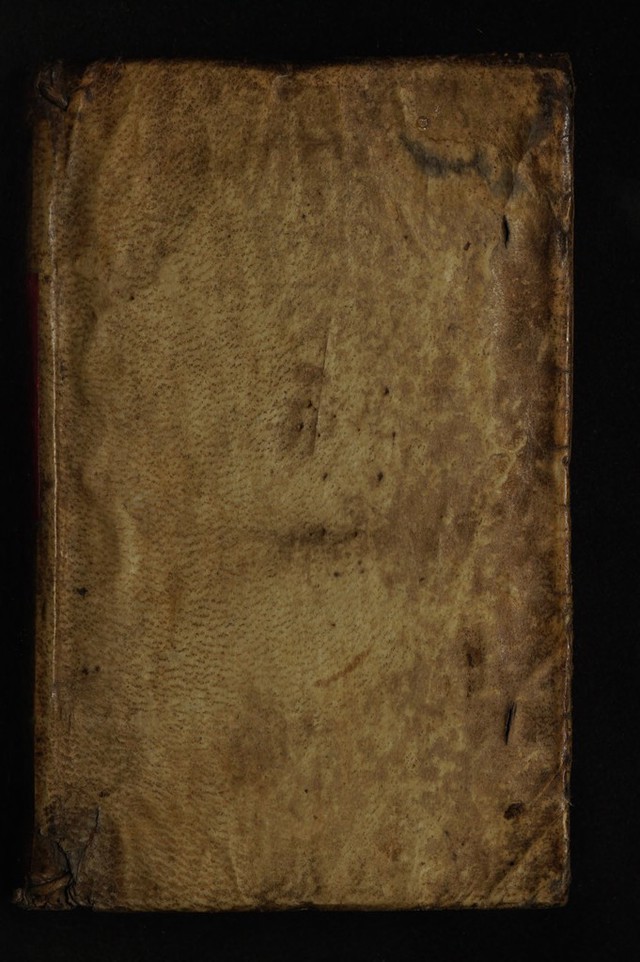 No text description is available for this image