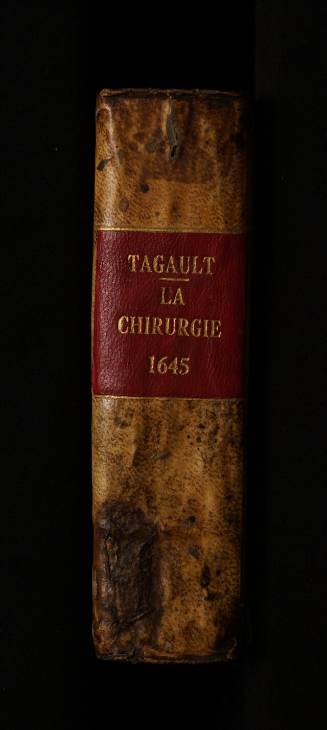 No text description is available for this image