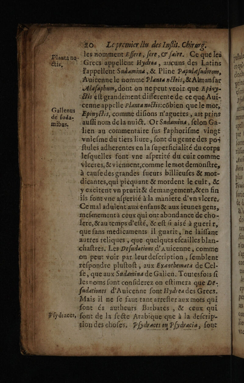 Dre 4 à 4 Gallenus de fuda- mibus. Piydraces Grecs appellent Hydres, aucuns des Latins Yappellent Sudumine, &amp; Pline Papuléfudorom, Ælafaphum, dont on nepeut veoir que Æpiny- ‘étis eftarandement differentede ce qué Aui- -cenneappclle Planta notlis:côbien que le mot, Epinyélis, comme difions n’aguetes , ait ptins aufli nom delanui&amp;. Or Sadamina, felon Ga- lien au commentaire fus faphorifme vingt vniefme du tiers liute, font du gente dés po: lefquelles font vne afperité du cuit comme vlceres, &amp;viennent,comme lemot demonftre, à caufe des grandes fueurs billieufes &amp; mot- dicantes,qui picquant &amp; mordent le cuir, &amp; ÿ excitent vn prutit&amp; demangement,&amp;en fin ils font vne afperité à la maniete d’vnvicere. Ce mal aduientauxenfans&amp; aux ieunes gens, mefimementà céux qui ontabondance decho- Îere, &amp;au tempsd’efté, &amp;elt f aisé à euerir, que fans médicaments il guarit, ne laiffant autfes reliques , que quelquesefcailles blan- chaftres. Les Defudarions d’Auicenne, comnie on peut voir pat leur defcription, femblent refpondre pluftoft , aux Exænthemats de Cel- fe, que aux Sédamina de Galien. Toutesfois fi les noms font confiderez on eftimera que De- fndationes d'Auicenne font Hydrea des Grecs. Mais il ne fe faut tant arrefler aux mots qui font és autheurs Barbarés , &amp; ceux qui font de la feéte Arabiquerque à la defcrip- tion deschofes, P/draces on Pfydracia, font