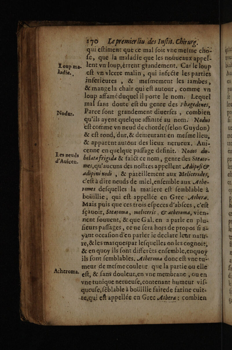 qui eftiment que ce mal foit vnemelime cho: | iii fe, que la maladie que les noueauxappel- trou Loup ma- lent vnloup,errent gtandement, Car le loup plat dadie,, : ft vn vlcere malin, qui infecte lesparties Au inferieutes , &amp; mefmement les iambes, 0$ &amp; mange la chair quieft autour, comme vn pa loup affamé duquel il porte le nom. Lequel fe mal fans doute eft du gente des rhagédenes, leu Nodus. Parce font grandement diuerfes ; combien pt qu'ils ayent quelque affinité au nom. Nodws f eft comme vn neud de chorde{felon Guydon) ue &amp; eft rond, dur, &amp; demeurant:en mefme lieu, me &amp; appaténtautôut des lieux nerueux. Aui- tt 4 cenne en quelque paflage definit. Nodes du- ) - Sci belatafrigide &amp; fait ce nom, genre des Stearo. pe ” mes,qu’aucuns des noftres appellent .4dipofc k adipini nodi , &amp; pateillement aux Melicersdes el l c’eft à dire neuds de miel,enfemble aux .4the- ce ‘À rames defquelles la matiere eft femblable à q ‘À boüillie, qui eft appellée en Grec .4rhera. f | Mais puis que ces trois efpeces d’abfces, c’eft b k | fcauoit, Steatema, meliceris , é'atheroma, vien: | nent fouuent, &amp; queGal.en aparleen plu: p! | fieurs paflages , ce ne fera hors de propos fi 4i le LS yant occafiond'en parler ie declare leur nati: t F6 re,&amp; les marquespar lefquelles on les cognoit, f Lt &amp; en quéy ils font differêts enfemble,enquoÿ : ‘14 ils font femblables. Arherema donceft vnetui à il 1 meur de mefmecouleur que la partieouelle f. Acheroma, eft, &amp; fans douleut,en vne membrane ,ouen d vnetunique nétueule,contenant humeur vif: queufe, féblable à boüillie faitede farine cuit: -tejqui cft appellée en Grec .Æthera: combien