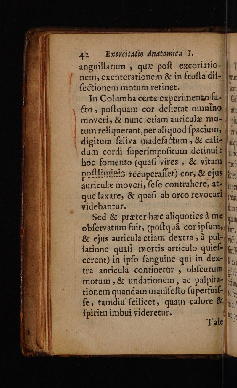 anguillarum , que poft excoriatio- | T nem, exenterationem &amp; in frufta dií-! [ny fectionem motum retinet. Um In Columba certe experimento fa- 6G Go , poftquam cor defterat omnino L moveri, &amp; nunc etiam auriculz moe | yj tum reliquerant, per aliquod fpacium, 1 W, digitum faliva madefactum , &amp; calis lj, dum cordi fuperimpofitum detinuit], hoc fomento (quafi vires , &amp; vitam lu; nofilimini5 recu peraiiet) cor, &amp; ejus [ire auriculz moveri, fefe contrahere, ate [tte que laxare, &amp; quafi ab orco revocati lr. videbantur. In; Sed &amp; prater hec aliquoties à me [uc obfervatum fuit, (poftqua cor ipfums n. &amp; ejus auricula etiam dextra , à pulefui latione quafi mortis articulo quief* | fmi cerent) in ipfo fanguine qui in dex-| m tra auricula continetür , obícurum; ii motum , &amp; undationem , ac palpitazle, tionem quandam manifefto fi uperfuif- |, f fe, tamdiu fcilicet, quam calore &amp;]r., fpiritu imbui videretur. SES Tale | | | H 4l li V