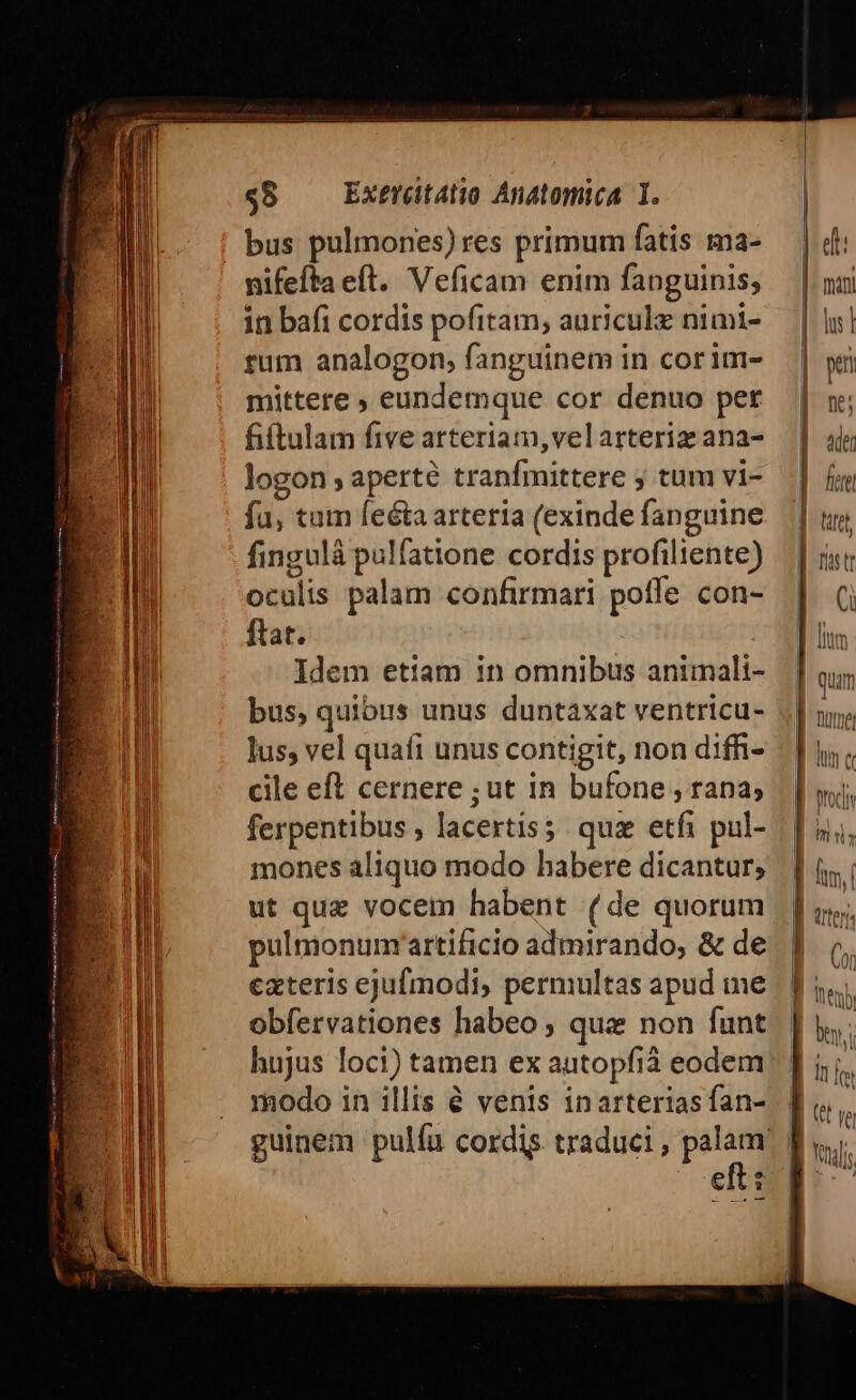 nifefta eft. Veficam enim fanguinis; in bafi cordis pofitam, auriculz nimi- rum analogon; fanguinem in cor im- mittere ; eundemque cor denuo per fiftulam five arteriam, velarteriz ana- logon aperte tranfmittere y tum vi- fu, tum feta arteria (exinde fanguine fingulà pulfatione cordis profiliente) oculis palam confirmari poffe con- ftat. Idem etiam in omnibus animali- bus, quibus unus duntaxat ventricu- lus, vel quafi unus contigit, non diffi- cile eft cernere ; ut in bufone , rana; ferpentibus , lacertis; quz etfi pul- mones aliquo modo habere dicantur; ut quz vocem habent (de quorum pultmonum'artificio admirando, &amp; de exteris ejufmodi, permultas apud me obfervationes habeo , que non funt hujus loci) tamen ex autopfià eodem modo in illis é venis inarterias fan- eft: y l - o-c- 2 zx LT cn AE zy TO ro — c c5 a». C2