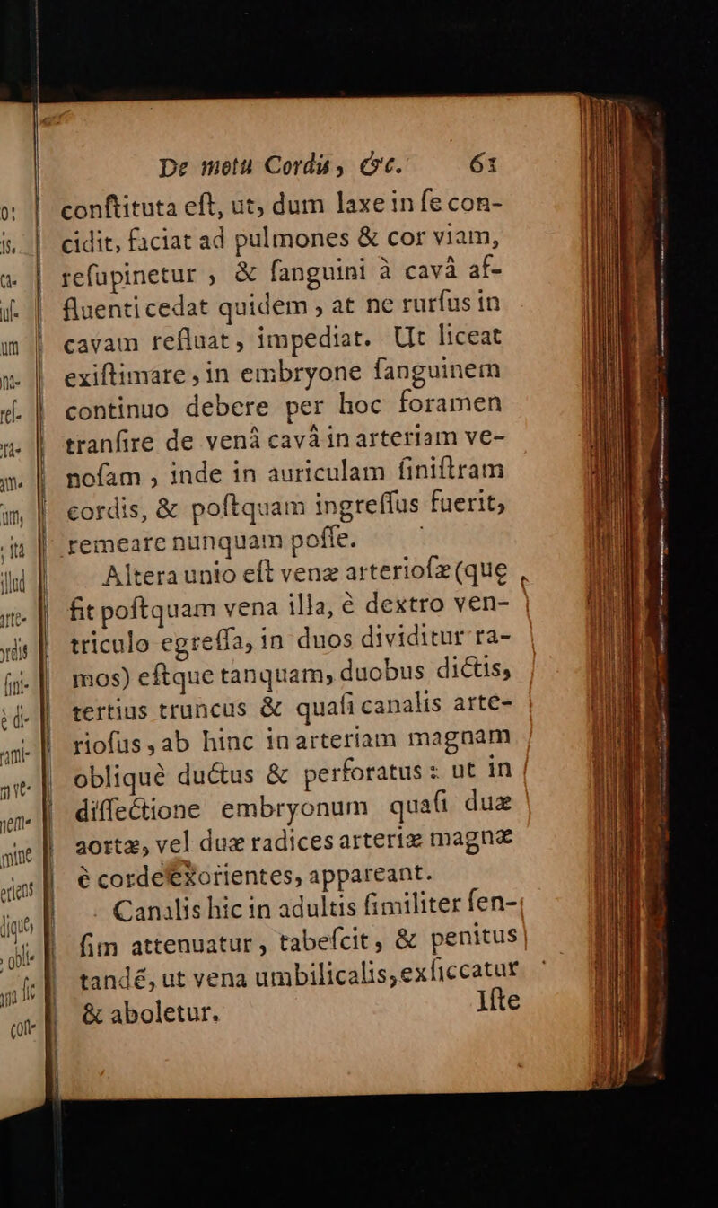 conftituta eft, ut; dum laxein fe con- cidit, faciat ad pulmones &amp; cor viam, refupinetur ; &amp; fanguini à cavà af- fluenti cedat quidem , at ne rurfus in cavam refluat, impediat. Ut liceat exiftimare, in embryone fanguinem continuo debere per hoc foramen tranfire de venà cavá in arteriam ve- nofam , inde in auriculam finiftram cordis, &amp; poftquam ingreffus fuerit; remeare nunquam poffe. j fit poftquam vena illa, € dextro ven- triculo egreffa, in duos dividitur ra- mos) eftque tanquam; duobus dictis, tertius truncus &amp; quafi canalis arte- riofus,ab hinc inarteriam magnam obliqué ductus &amp; perforatus : ut in aortz, vel dux radices arteriz magna tand£, ut vena umbilicalis,exficcatur - ' ] ! ] ]