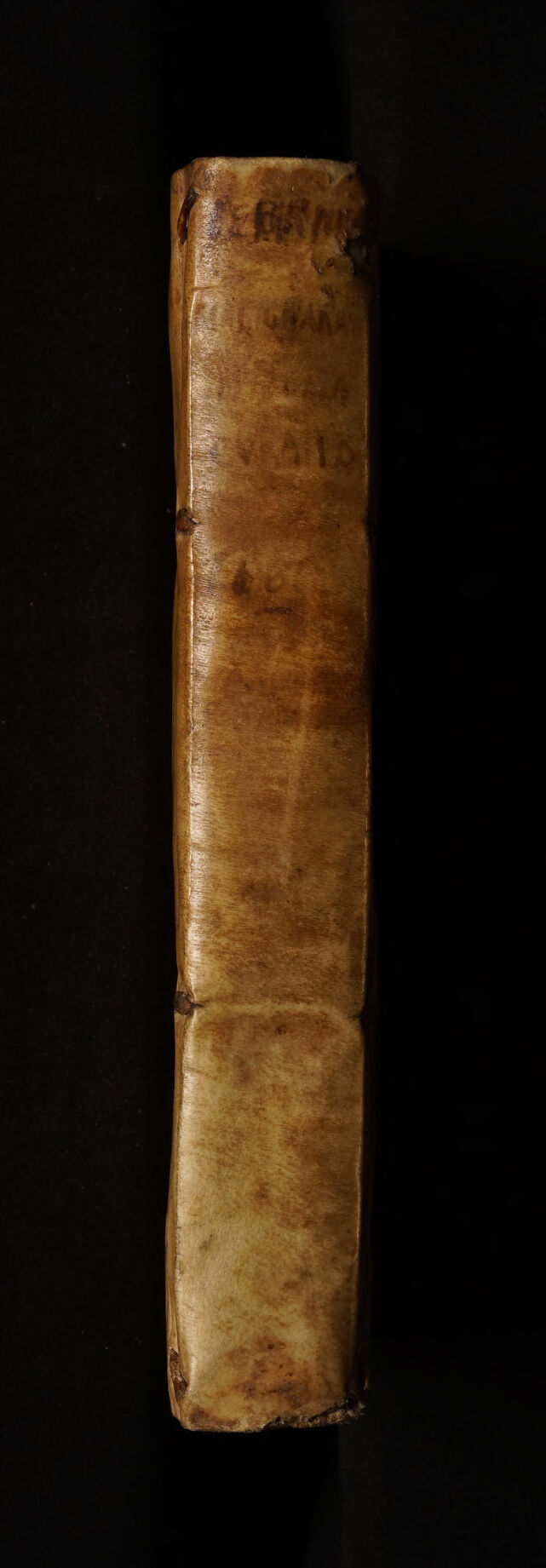 No text description is available for this image