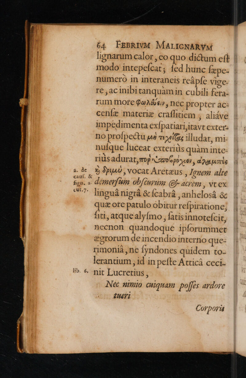 lignarum calor , eo quo dictum eft | modo intepefcat; ed hunc Íepe: | numero in interaneis reápfe vige- re , ac inibi tanquam in cubili fera- rum more QeA&amp;r, nec propter ac: ceníe materie craffitiem , alive impedimenta exfpatiari;itavt exter: no profpectu ue oiu; illudat, mi- nuíque luceat exteriüs quàm inte- rius adurat,mep n'zzroCpo sor, d'ou quzcls »des x pU , VOCAC Arctaus i Jguen alte fign. a. QOHer tt. ob[/Curum (- acyem , vt ex me linguá nigrá &amp; fcabrá ,anhelosá &amp;k | qua ore patulo obiturrefpiratione; ||;. fiti, atquealyfmo , fatis innotefcit, necnon quandoque ipforummet &amp;erorum de incendio interno que- rimoniá, ne fyndones quidem to- lerantium , id in pefte Atticá ceci. !»- vit T'ucrenuss Nec ntmio cuiquam. poffes ardore tueri C UV Doria