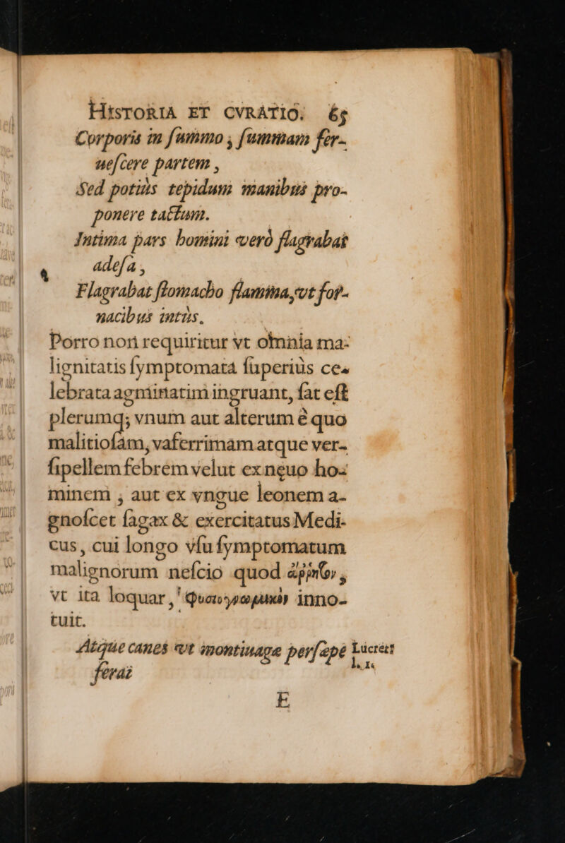 Corporis im fummo , [umma for. uefcere partem , Sed potis tepidum manibui pro- ponere tactum. Jutima pars. bomini cveró flagyabak adofa Flagrabat flomacbo flamina,vt fop- nacibus 1ntus. | Porro nori requiritur vt omnia ma- lignitatis fymptomata füperiüs ce. lebrata agminatim ingruant, fat eft petien vnum aut alterum é quo malitiofam, vaferrimamatque ver- fipellem febrem velut exneuo ho minem , aut ex vngue leonem a- gnoícet fagax & exercitatus Medi- cus , cui longo víufymptomatum malignorum nefcio quod &gjso; , vt ita loquar ,' Quo pe phy inno- tuit. JAtaue cAnes Ut ipontinage ber/2 de inage perfa pe E