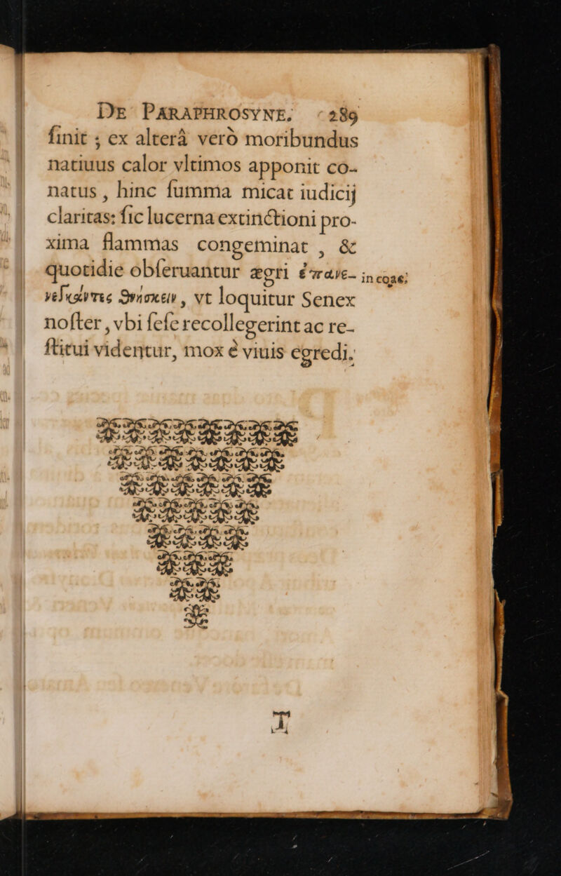 DE PXARAPHROSYNE. -:289 finit ; ex alterá veró moribundus natiuus calor vltimos apponit co- natus, hinc fummia micat iudicij claritas: fic lucerna extinctioni pro- xima flammas congeminat , &amp; quotidie obferuantur agri £««e- vePairee Syuox ti , Vt loquitur Senex nofter , vbi fefe recollegerint ac re- ftitui videntur, mox e viuis egredi,