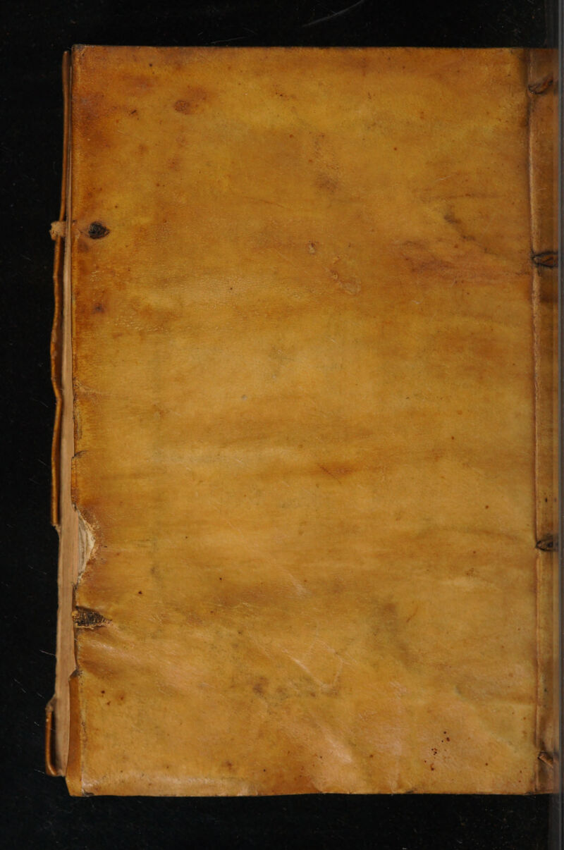 di MÀ dual: mtr inm i milieu m