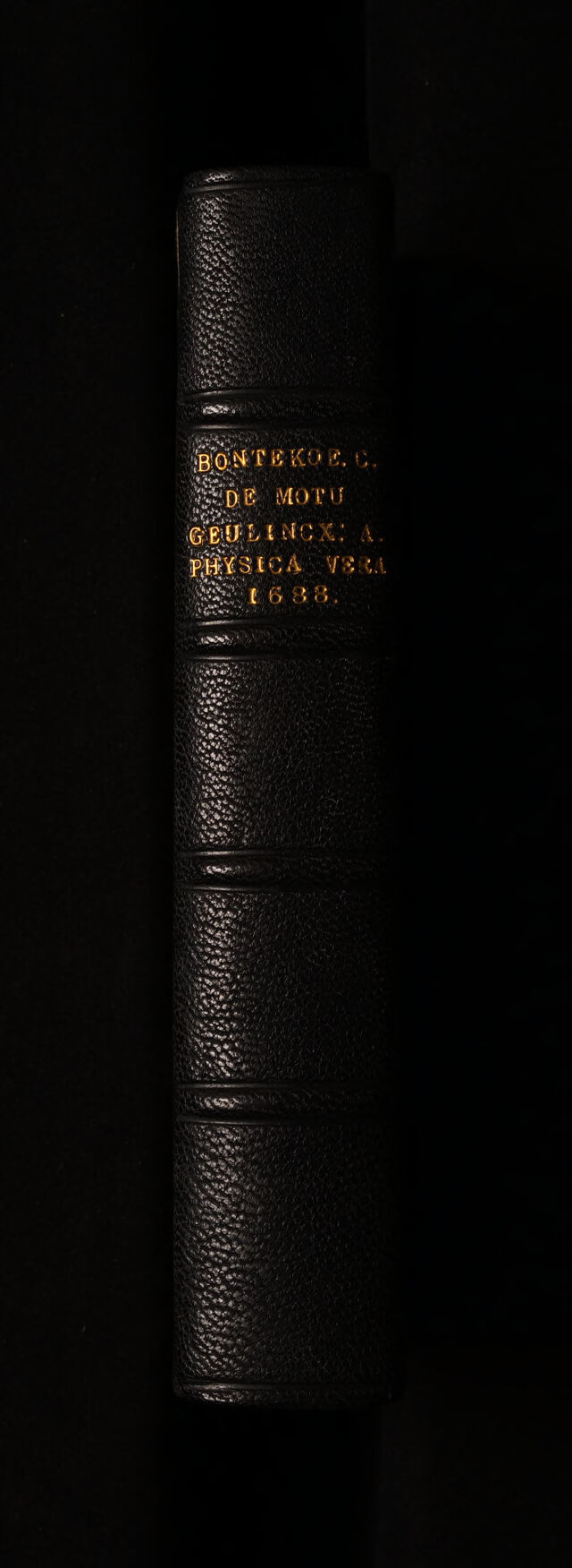 No text description is available for this image