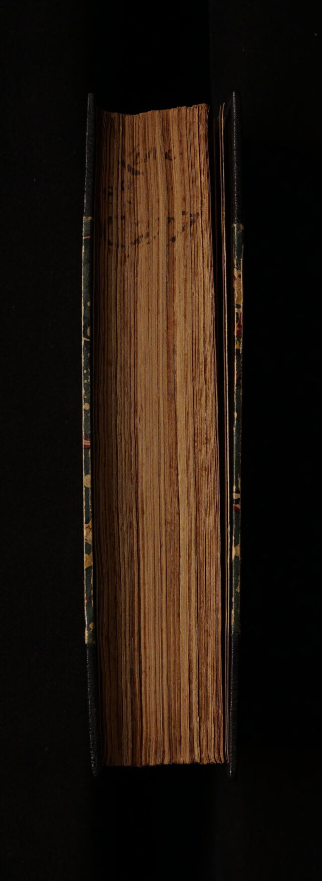 No text description is available for this image