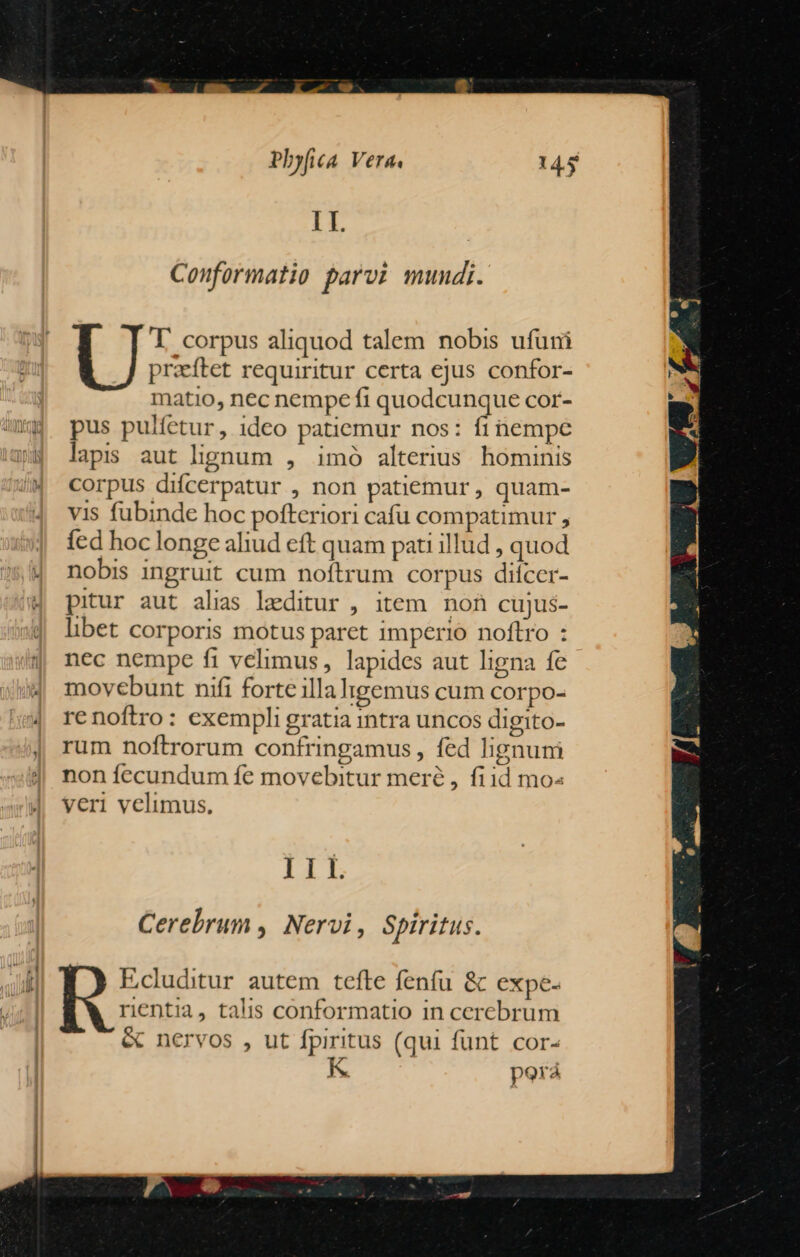 Phy (A Vera 1I. Conformatio parvi mundi. T corpus aliquod talem nobis ufuni praftet requiritur certa ejus confor- matio, nec nempe fi quodcunque cor- pus pulfetur, ideo patiemur nos: fi nempe laps aut lignum , imó alterius hominis corpus difcerpatur , non patiemur, quam- vis fubinde hoc pofteriori cafu compatimur , fed hoc longe aliud eft quam pati illud , quod nobis ingruit cum noftrum corpus diífcer- pitur aut alias leditur , item. non cujus- libet corporis motus paret 1mperio noftro : nec nempe fi velimus, lapides aut ligna fe movebunt nifi forte illaligemus cum corpo- re noftro: exempli gratia intra uncos digito- rum noftrorum confringamus , fed hgnuni non fecundum fe movebitur meré,, fiid mo: veri velimus, IIL Cerebrum , Nervi, Spiritus. Ecluditur autem tefte fenfu & expe- rientia, talis conformatio in cerebrum & nervos , ut fpiritus (qui funt cor- - porá