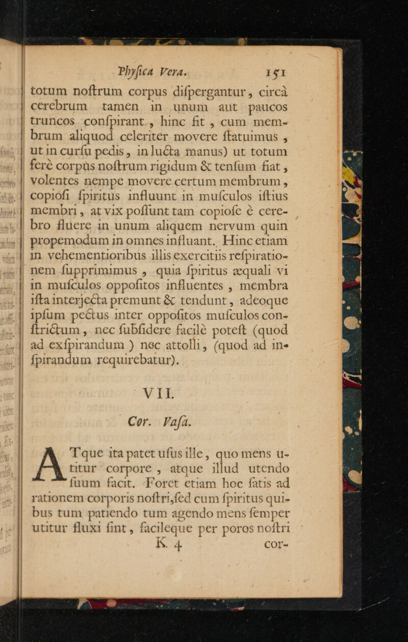 ! | Phyfa Vera. 141 totum noftrum cor pus difpergantur, circà cerebrum tamen in unum aut paucos truncos. conípirant., hinc fit , cum mem- brum aliquod eiu ie movere ftatuimus , utin curfu pedis, inlucta manus) ut totum feré corpüs noftrum r igidum & tenfum fiat , volentes nempe movere certum membrum , copiofi lpiritus influunt 1n. mufículos iftius membri, at vix potins tam copiofe e cere- bro fluere in unum al iquem nervum quin propemodum i in omnes influant. Hinc ctiam jn vehementioribus illis cxcrcitiis refpiratio- nem fupprimimus , quia fpiritus zequali vi in mufículos oppofitos influentes , membra piper premunt & tendunt, adeoque Ipfum pectus inter oppofitos. mufculos con- ftrictum , nec fubfidere facilé poteft (quod ad exípirandum ) nec attolli, (quod ad in- fpirandum recquirebatur). VIL Cor. Vafa. Tque ita patet ufusille, quo mens u- titur corpore , atque illud utendo fuum facit. Foret etiam hoc fatis a rationem corporis noftri,fed cum fpiritus qui- bus tum patiendo tum agendo mens femper uutur fluxi fint , facileque per poros noftri K. 4. COI-