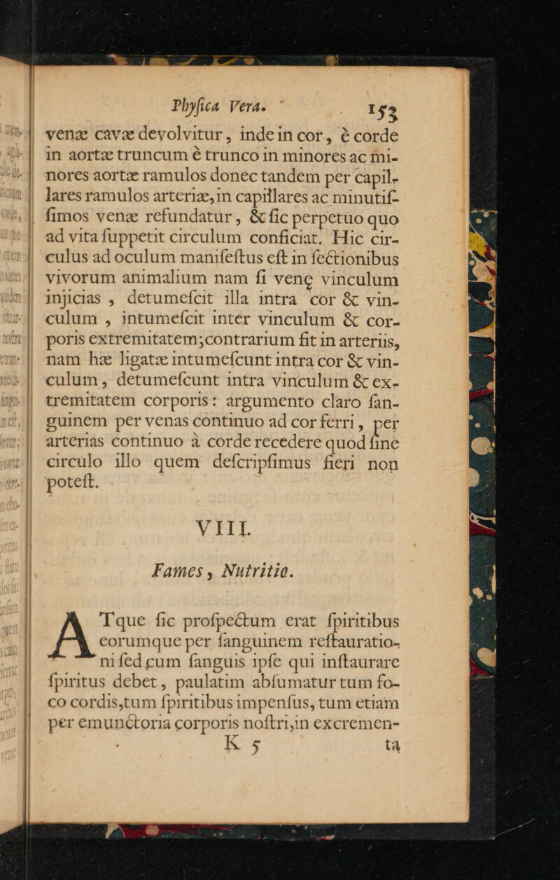 | Phyfia Vera. 152 venz cava devolvitur, indein cor, é corde in aortz truncum é trunco in minores ac mi- nores aortz ramulos donec tandem per capil- lares ramulos arterize,in capillares ac minutif- fimos venz refundatur, &amp; fic perpetuo quo ad vita fuppetit circulum conficiat. Hic cir- culus ad oculum manifeftus eft in fectionibus vivorum animalium nam fi vene vinculum injncias , detumeíoit illa intra cor &amp; vin- culum , intumefct inter vinculum &amp; cor- poris extremitatem;contrarium fit in arteriis, nam hz lhgatzx intumefcunt intra cor &amp; vin- culum, detumefcunt intra vinculum &amp; ex- tremitatem corporis: argumento claro fan- guinem per venas continuo ad cor ferri, per arterias continuo à corde recedere quod fine circulo illo quem defcripfimus fieri non potett. V III. Fames, Nutritig. Tque fic profpe&amp;tum erat. fpiritibus eorumque per fanguinem reftauratio- ni fed cum fanguis 1pfe qui inftaurare fpiritus debet, paulatim abfumatur tum fo- CO cordis,tum fpiritibus impeníus, tum etiam per emunctoria corporis noftri,in excremen- AN tà