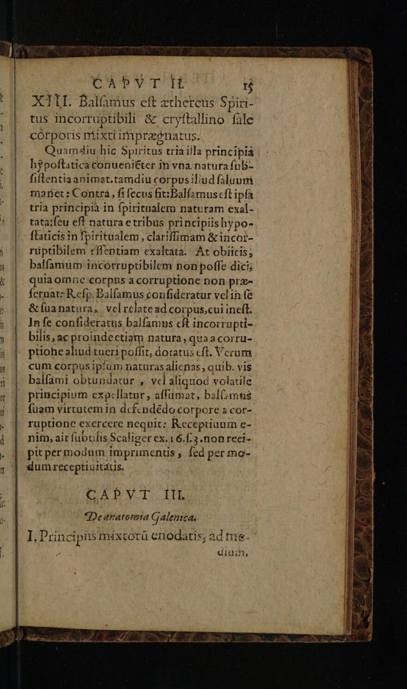 d DNPY THE XTIL Balàmus eft xthercus Spiri- tu$ incorruptibili &amp; cryftallino fàle córpotis ntixti impraenatus. Quamdiu bic Spiritus tria illa principia hypoftitica conueni&amp;ter in vna natura ful5- fiftentiaanimet.tamdiu corpus iliud faluum mariet : Contra, fi fecus fit:Balí2muscft ipfa tria principia in fpiritualem naturam exal- tatajfeu eff natura e tribus principiishypo- flaticis in fpiritnalem , clariffimam &amp;inco:- rüptibilem cffentiam exaltata. At'obiicis; balfamum incorruptibilem non poffe dici; quia omnc corpus a corruptione non prz fernatz R.efp. Dalfamus confideratur vel 1n fe &amp; aa natura, vel rclatead corpus;cui ineft: In fe confideratus balfamus cft incorrupti- bilis, ac proindectiam natura, quaacorru- ptiohe aliud tueri poffit, doratus cft. Verum cum corpus ipfum naturas alienas, quib. vis balfami obtundazur , vel aliquod volatile principium exp:llatur, affümat, bal(mns fuam virtutemin dcfcndédo corpore a cor- ruptione exercere nequit: R.ecepuiuum e- nim, ait fubulis Scaliger ex. 16.£:3.non reci- pit per modum imprimentüs , fed per mo- dum receptiaitátis. CADVT.. It «Deeanatomta G. Alentea.