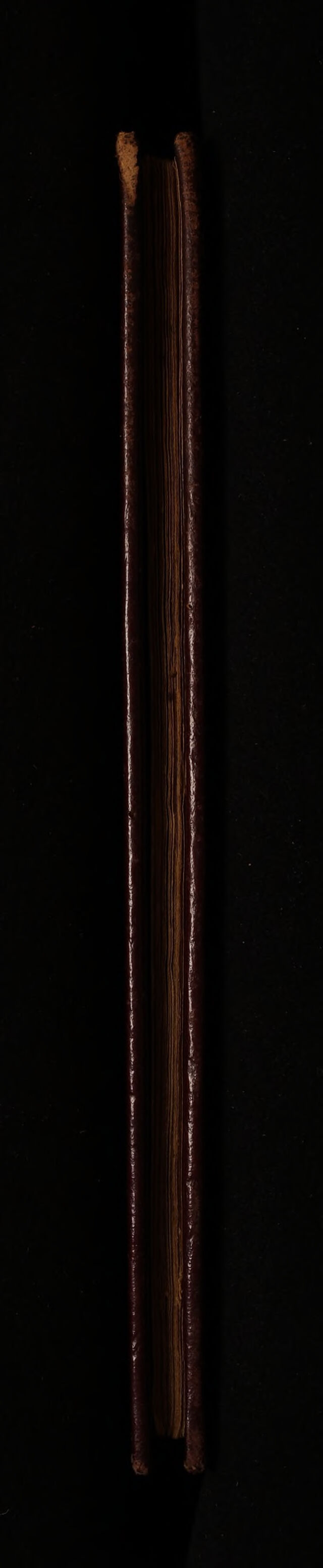 digitised image 3