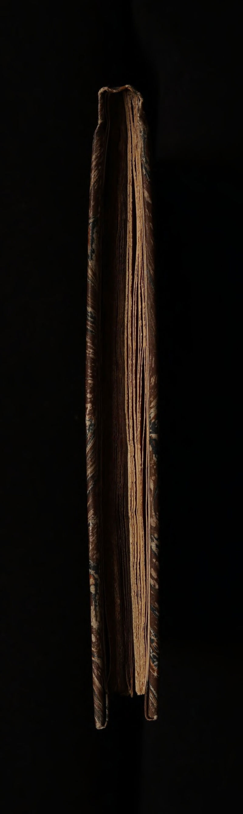 No text description is available for this image