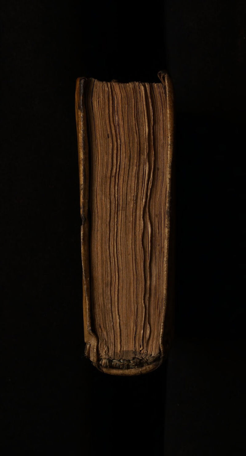 No text description is available for this image