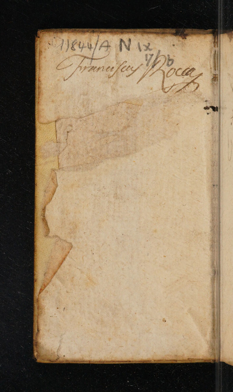 No text description is available for this image